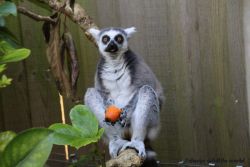 IMG7914